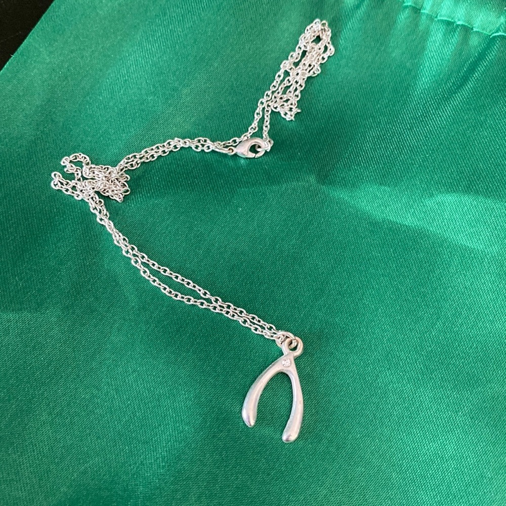 ✨ 3 for $35 ✨ Silver Wishbone Jewel Necklace